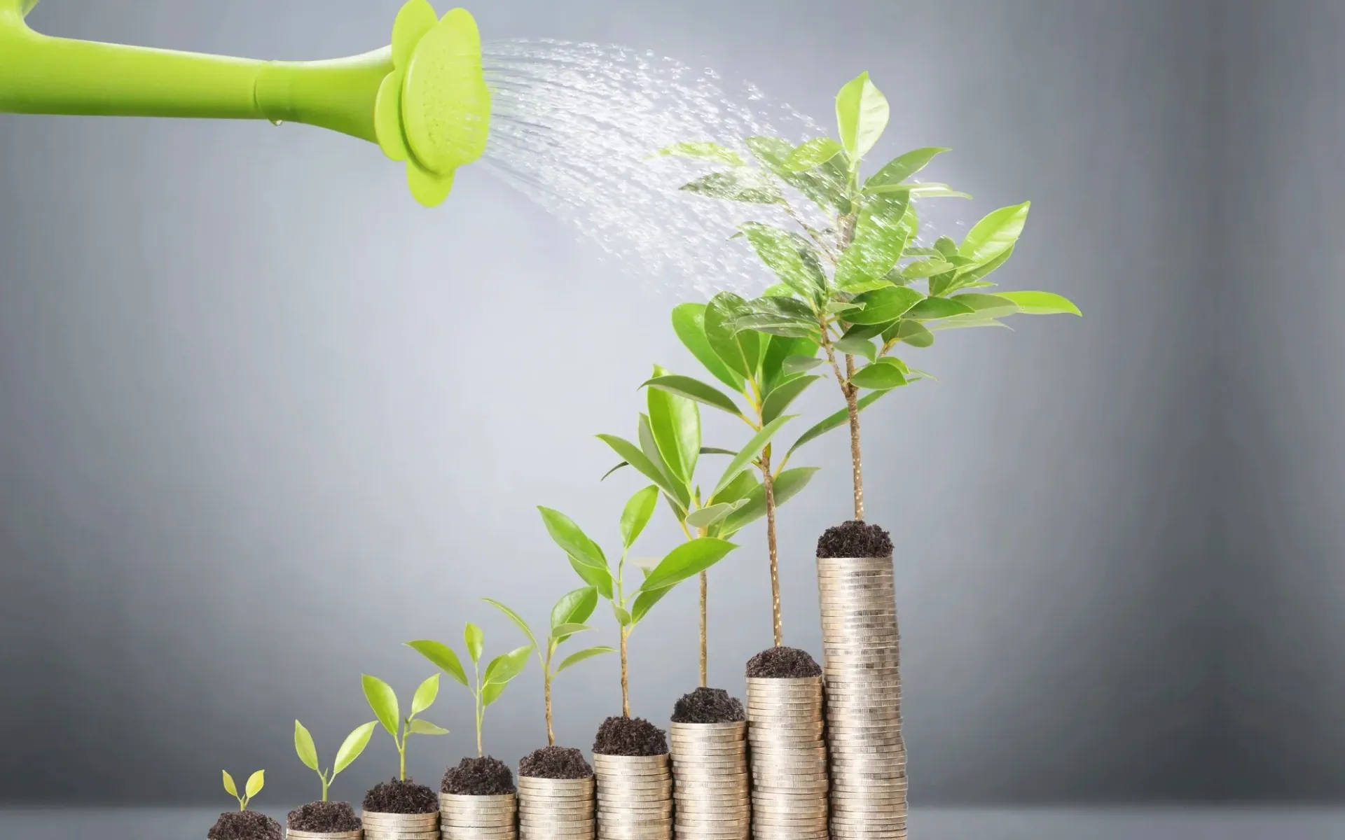 A photo of some coins and plants being watered.
